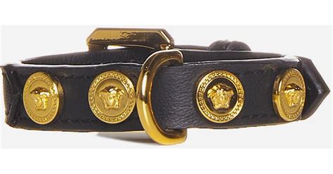 versace dog|versace medusa dog collar.